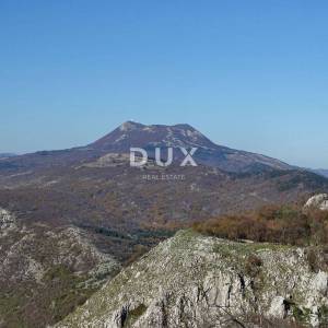 ISTRA, LUPOGLAV – poljoprivredno zemljište od 100000m2 za razvoj raznih projekata, odlična investicijska prilika   