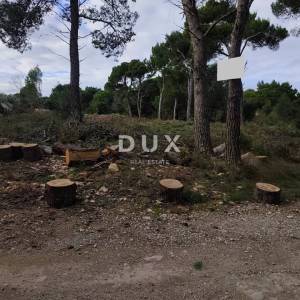 ISTRA, MEDULIN Fenomenalna prilika