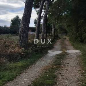 ISTRA, MEDULIN Fenomenalna prilika