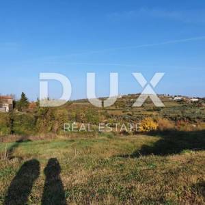 ISTRA, MOMJAN – Atraktivno zemljište s pogledom i kamenim objektima