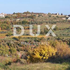 ISTRA, MOMJAN – Atraktivno zemljište s pogledom i kamenim objektima