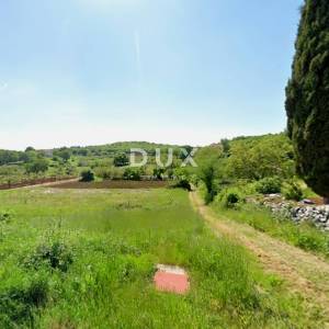 ISTRA, MOTOVUN - Zemljište s građevinskom dozvolom i atraktivnim projektom