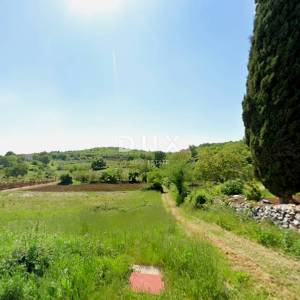 ISTRA, MOTOVUN - Zemljište s građevinskom dozvolom i atraktivnim projektom