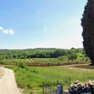 ISTRA, MOTOVUN - Zemljište s građevinskom dozvolom i atraktivnim projektom