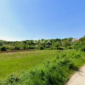 ISTRA, MOTOVUN - Zemljište s građevinskom dozvolom i atraktivnim projektom