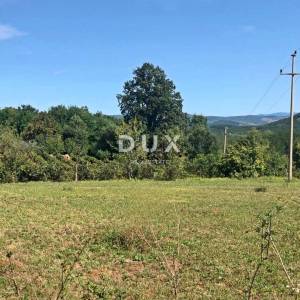 ISTRA, MOTOVUN - Zemljište s građevinskom dozvolom