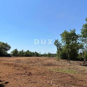 ISTRA, MUNTIĆ Izvrsna prilika!