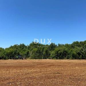 ISTRA, MUNTIĆ Izvrsna prilika!