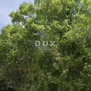 ISTRA, PERUŠKI - Poljoprivredno zemljište 41600 m2