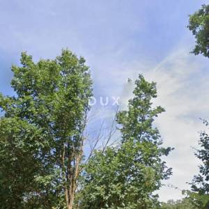 ISTRA, PERUŠKI - Poljoprivredno zemljište 41600 m2