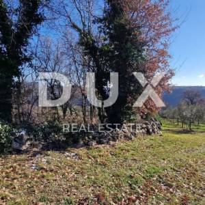 ISTRA, PIĆAN - Građevinsko zemljište, maslinik, vinograd, oranica, potpuna osama i fantastičan pogled