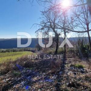 ISTRA, PIĆAN - Građevinsko zemljište, maslinik, vinograd, oranica, potpuna osama i fantastičan pogled