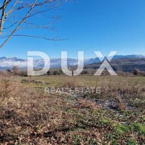 ISTRA, PIĆAN - Građevinsko zemljište, maslinik, vinograd, oranica, potpuna osama i fantastičan pogled