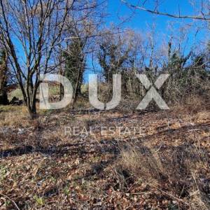 ISTRA, PIĆAN - Građevinsko zemljište, maslinik, vinograd, oranica, potpuna osama i fantastičan pogled