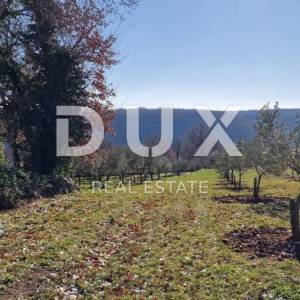 ISTRA, PIĆAN - Građevinsko zemljište, maslinik, vinograd, oranica, potpuna osama i fantastičan pogled