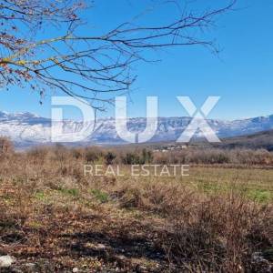 ISTRA, PIĆAN - Građevinsko zemljište, maslinik, vinograd, oranica, potpuna osama i fantastičan pogled