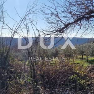 ISTRA, PIĆAN - Građevinsko zemljište, maslinik, vinograd, oranica, potpuna osama i fantastičan pogled