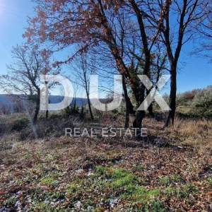 ISTRA, PIĆAN - Građevinsko zemljište, maslinik, vinograd, oranica, potpuna osama i fantastičan pogled