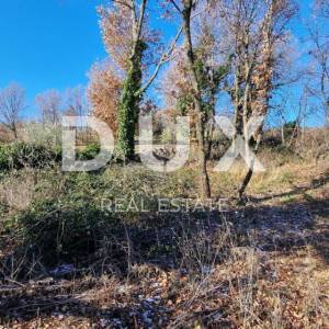 ISTRA, PIĆAN - Građevinsko zemljište, maslinik, vinograd, oranica, potpuna osama i fantastičan pogled