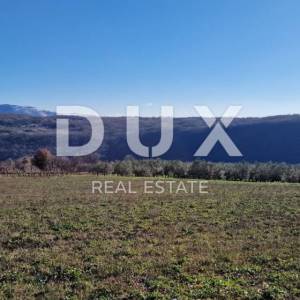 ISTRA, PIĆAN - Građevinsko zemljište, maslinik, vinograd, oranica, potpuna osama i fantastičan pogled