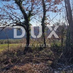 ISTRA, PIĆAN - Građevinsko zemljište, maslinik, vinograd, oranica, potpuna osama i fantastičan pogled