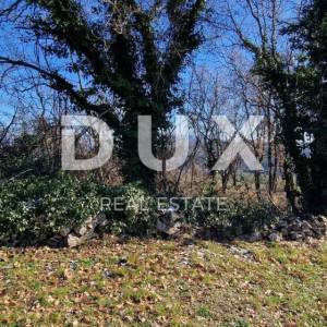 ISTRA, PIĆAN - Građevinsko zemljište, maslinik, vinograd, oranica, potpuna osama i fantastičan pogled