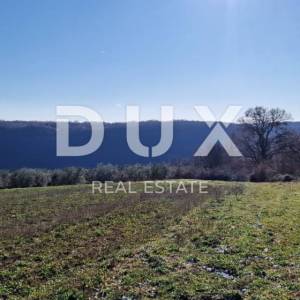 ISTRA, PIĆAN - Građevinsko zemljište, maslinik, vinograd, oranica, potpuna osama i fantastičan pogled