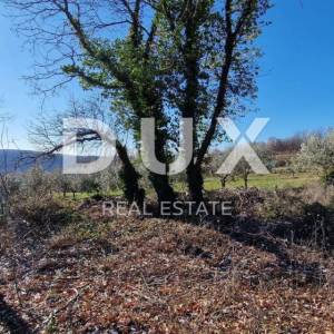 ISTRA, PIĆAN - Građevinsko zemljište, maslinik, vinograd, oranica, potpuna osama i fantastičan pogled