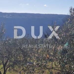 ISTRA, PIĆAN - Građevinsko zemljište, maslinik, vinograd, oranica, potpuna osama i fantastičan pogled