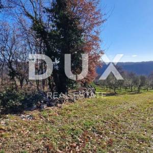 ISTRA, PIĆAN - Građevinsko zemljište, maslinik, vinograd, oranica, potpuna osama i fantastičan pogled