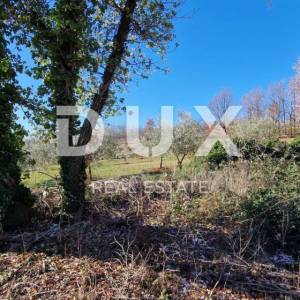 ISTRA, PIĆAN - Građevinsko zemljište, maslinik, vinograd, oranica, potpuna osama i fantastičan pogled