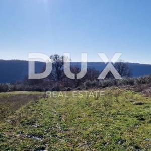 ISTRA, PIĆAN - Građevinsko zemljište, maslinik, vinograd, oranica, potpuna osama i fantastičan pogled