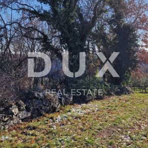 ISTRA, PIĆAN - Građevinsko zemljište, maslinik, vinograd, oranica, potpuna osama i fantastičan pogled