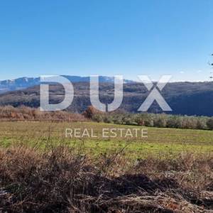 ISTRA, PIĆAN - Građevinsko zemljište, maslinik, vinograd, oranica, potpuna osama i fantastičan pogled