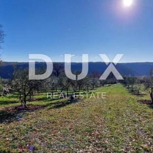 ISTRA, PIĆAN - Građevinsko zemljište, maslinik, vinograd, oranica, potpuna osama i fantastičan pogled