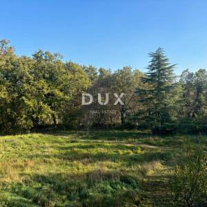 ISTRA, POREČ(OKOLICA) Prostrana kuća s dva velika stana i garažom + građevinski teren 1687m2! SPEKTAR MOGUĆNOSTI!