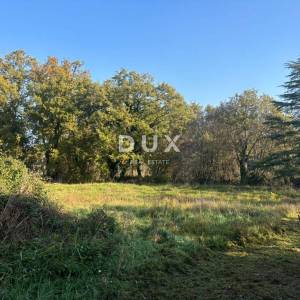 ISTRA, POREČ(OKOLICA) Prostrana kuća s dva velika stana i garažom + građevinski teren 1687m2! SPEKTAR MOGUĆNOSTI!