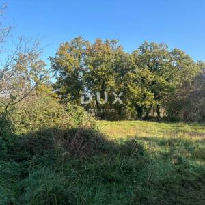 ISTRA, POREČ(OKOLICA) Prostrana kuća s dva velika stana i garažom + građevinski teren 1687m2! SPEKTAR MOGUĆNOSTI!