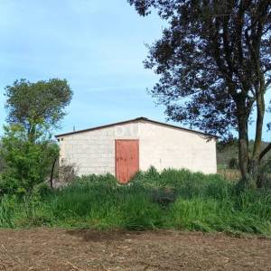 ISTRA, PULA- Poljoprivredno zemljište sa gospodarskim objektom!