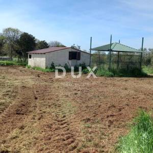 ISTRA, PULA- Poljoprivredno zemljište sa gospodarskim objektom!