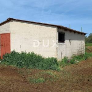 ISTRA, PULA- Poljoprivredno zemljište sa gospodarskim objektom!