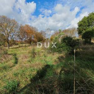 ISTRA, PULA- Prostrano poljoprivredno zemljište sa gospodarskim objektom!