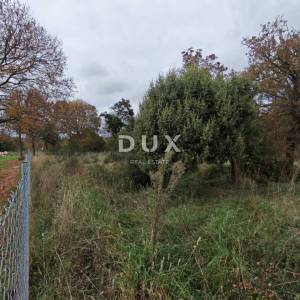 ISTRA, PULA- Prostrano poljoprivredno zemljište sa gospodarskim objektom!