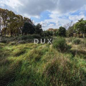 ISTRA, PULA- Prostrano poljoprivredno zemljište sa gospodarskim objektom!