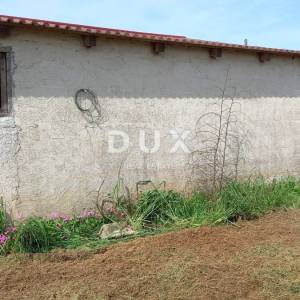 ISTRA, PULA- Prostrano poljoprivredno zemljište sa gospodarskim objektom!