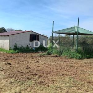 ISTRA, PULA- Prostrano poljoprivredno zemljište sa gospodarskim objektom!