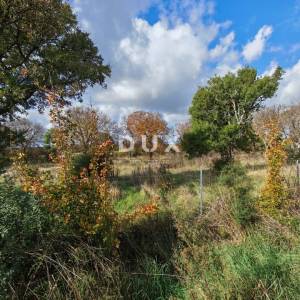 ISTRA, PULA- Prostrano poljoprivredno zemljište sa gospodarskim objektom!