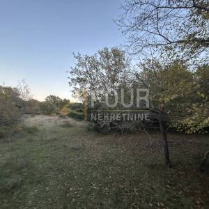 Istra, Pula - Veli Vrh, poljoprivredno zemljište 4.983m2