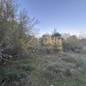 Istra, Pula - Veli Vrh, poljoprivredno zemljište 4.983m2