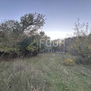 Istra, Pula - Veli Vrh, poljoprivredno zemljište 4.983m2